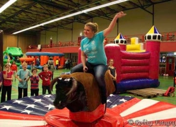 Rodeo Bull